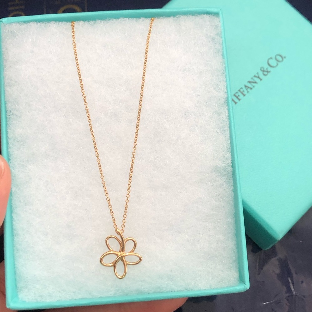 Tiffany & Co. 18k Gold Picasso Necklace